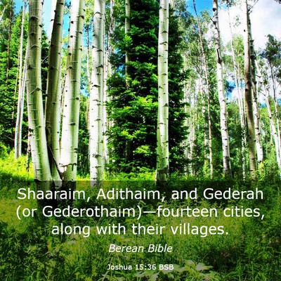Picture 03 - Joshua 15:36 BSB - Shaaraim, Adithaim, and Gederah (or - Bible Verse Picture