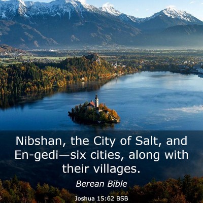 Picture 03 - Joshua 15:62 BSB - Nibshan, the City of Salt, and En-gedi—six - Bible Verse Picture