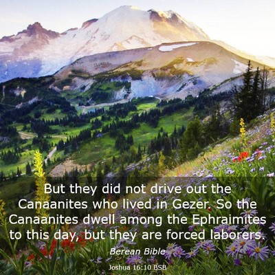 Picture 03 - Joshua 16:10 BSB - But they did not drive out the Canaanites who - Bible Verse Picture
