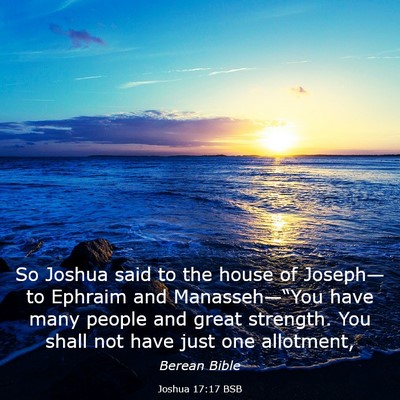 Picture 03 - Joshua 17:17 BSB - So Joshua said to the house of Joseph—to - Bible Verse Picture