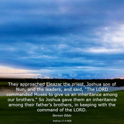Picture 03 - Joshua 17:4 BSB - They approached Eleazar the priest, Joshua son of - Bible Verse Picture