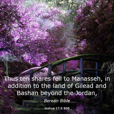 Picture 03 - Joshua 17:5 BSB - Thus ten shares fell to Manasseh, in addition to - Bible Verse Picture