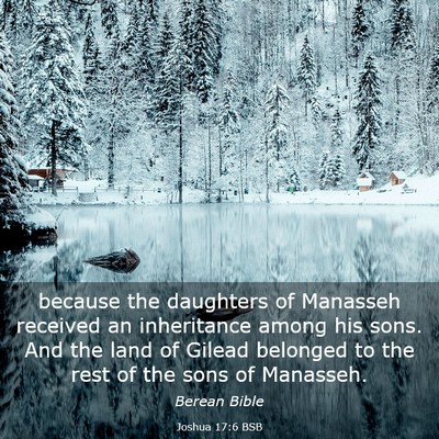 Picture 03 - Joshua 17:6 BSB - because the daughters of Manasseh received an - Bible Verse Picture