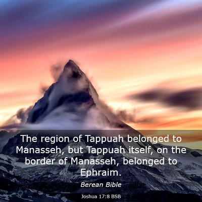 Picture 03 - Joshua 17:8 BSB - The region of Tappuah belonged to Manasseh, but - Bible Verse Picture