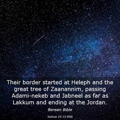 Picture 03 - Joshua 19:33 BSB - Their border started at Heleph and the great tree - Bible Verse Picture