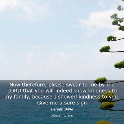 Picture 03 - Joshua 2:12 BSB - Now therefore, please swear to me by the LORD - Bible Verse Picture