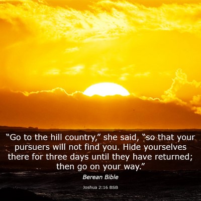 Picture 03 - Joshua 2:16 BSB - “Go to the hill country,” she said, “so - Bible Verse Picture