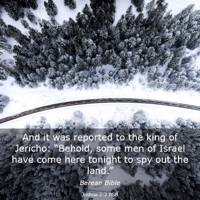 Picture 03 - Joshua 2:2 BSB - And it was reported to the king of Jericho: - Bible Verse Picture
