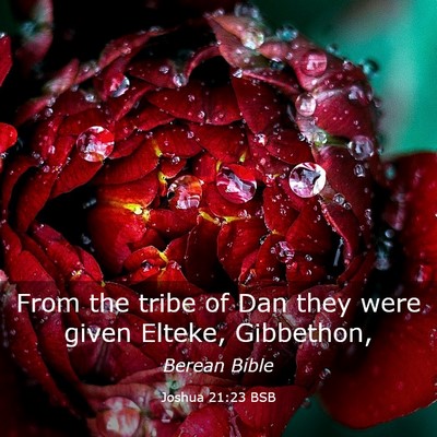Picture 03 - Joshua 21:23 BSB - From the tribe of Dan they were given Elteke, - Bible Verse Picture