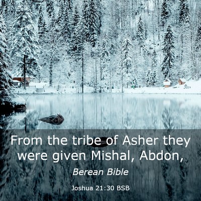 Picture 03 - Joshua 21:30 BSB - From the tribe of Asher they were given Mishal, - Bible Verse Picture