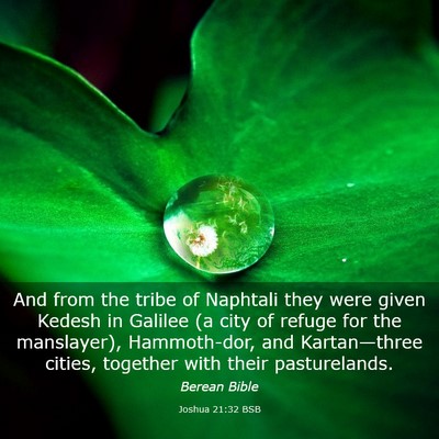 Picture 03 - Joshua 21:32 BSB - And from the tribe of Naphtali they were given - Bible Verse Picture