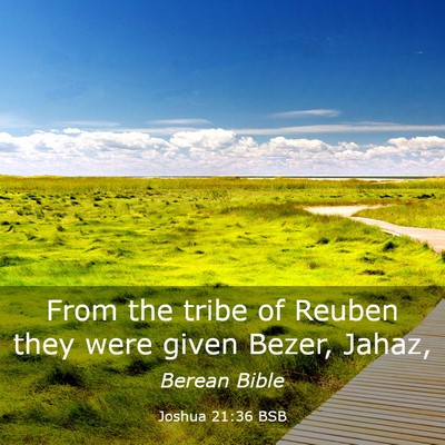 Picture 03 - Joshua 21:36 BSB - From the tribe of Reuben they were given Bezer, - Bible Verse Picture