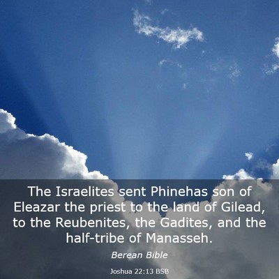 Picture 03 - Joshua 22:13 BSB - The Israelites sent Phinehas son of Eleazar the - Bible Verse Picture