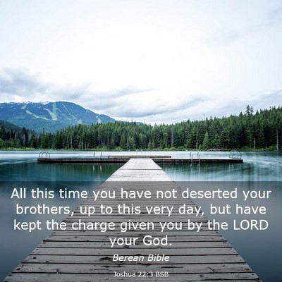 Picture 03 - Joshua 22:3 BSB - All this time you have not deserted your - Bible Verse Picture