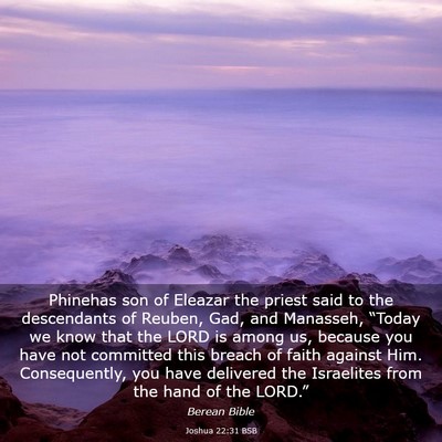 Picture 03 - Joshua 22:31 BSB - Phinehas son of Eleazar the priest said to the - Bible Verse Picture