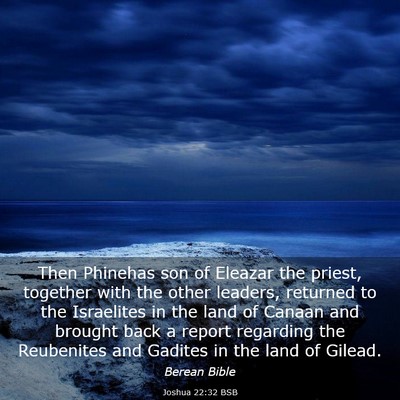Picture 03 - Joshua 22:32 BSB - Then Phinehas son of Eleazar the priest, together - Bible Verse Picture