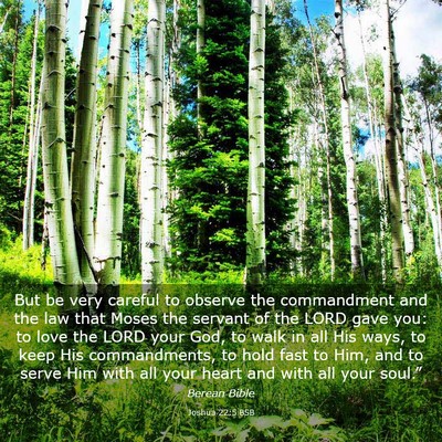 Picture 03 - Joshua 22:5 BSB - But be very careful to observe the commandment - Bible Verse Picture