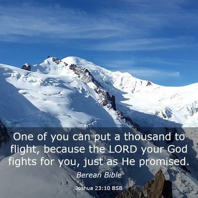 Picture 03 - Joshua 23:10 BSB - One of you can put a thousand to flight, because - Bible Verse Picture