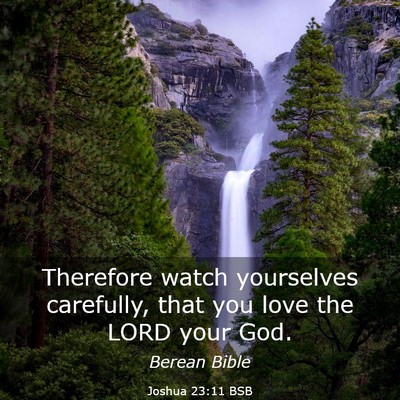 Picture 03 - Joshua 23:11 BSB - Therefore watch yourselves carefully, that you - Bible Verse Picture
