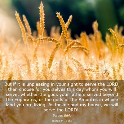 Picture 03 - Joshua 24:15 BSB - But if it is unpleasing in your sight to serve - Bible Verse Picture