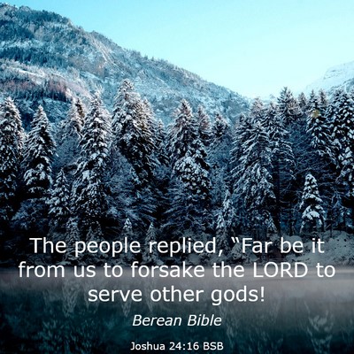 Picture 03 - Joshua 24:16 BSB - The people replied, “Far be it from us to - Bible Verse Picture