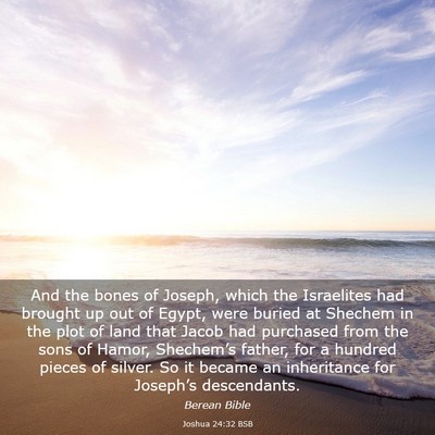 Picture 03 - Joshua 24:32 BSB - And the bones of Joseph, which the Israelites had - Bible Verse Picture