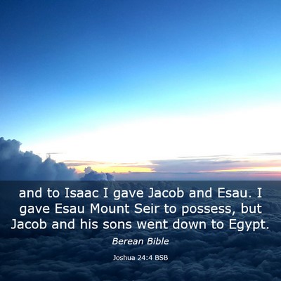 Picture 03 - Joshua 24:4 BSB - and to Isaac I gave Jacob and Esau. I gave Esau - Bible Verse Picture
