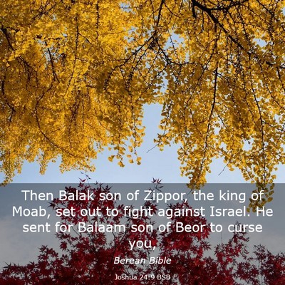 Picture 03 - Joshua 24:9 BSB - Then Balak son of Zippor, the king of Moab, set - Bible Verse Picture