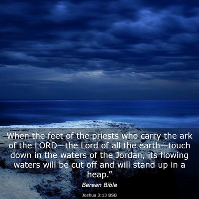 Picture 03 - Joshua 3:13 BSB - When the feet of the priests who carry the ark of - Bible Verse Picture