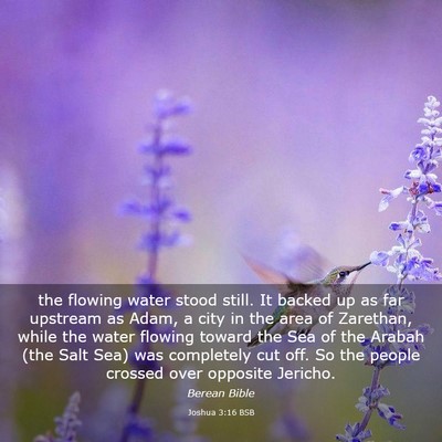 Picture 03 - Joshua 3:16 BSB - the flowing water stood still. It backed up as - Bible Verse Picture