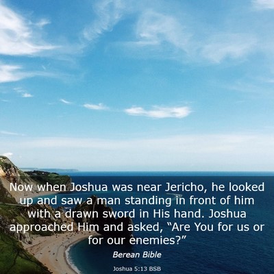 Picture 03 - Joshua 5:13 BSB - Now when Joshua was near Jericho, he looked up - Bible Verse Picture