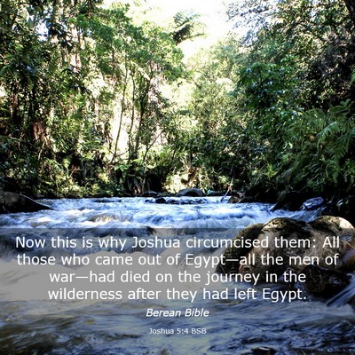 Picture 03 - Joshua 5:4 BSB - Now this is why Joshua circumcised them: All - Bible Verse Picture