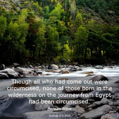 Picture 03 - Joshua 5:5 BSB - Though all who had come out were circumcised, - Bible Verse Picture