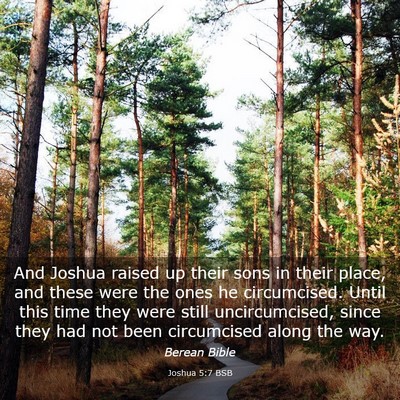 Picture 03 - Joshua 5:7 BSB - And Joshua raised up their sons in their place, - Bible Verse Picture