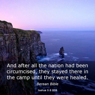 Picture 03 - Joshua 5:8 BSB - And after all the nation had been circumcised, - Bible Verse Picture