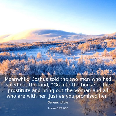 Picture 03 - Joshua 6:22 BSB - Meanwhile, Joshua told the two men who had spied - Bible Verse Picture