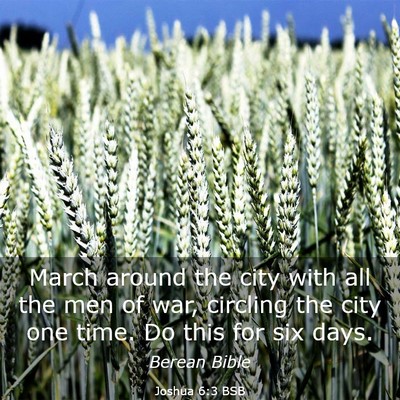 Picture 03 - Joshua 6:3 BSB - March around the city with all the men of war, - Bible Verse Picture
