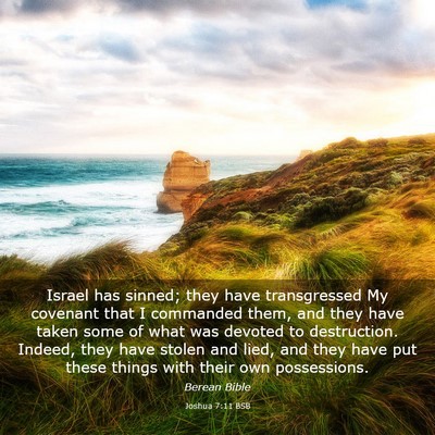 Picture 03 - Joshua 7:11 BSB - Israel has sinned; they have transgressed My - Bible Verse Picture