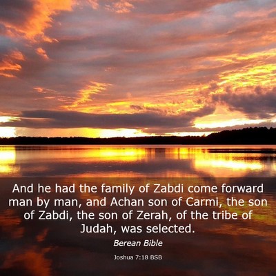 Picture 03 - Joshua 7:18 BSB - And he had the family of Zabdi come forward man - Bible Verse Picture