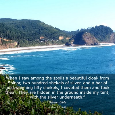 Picture 03 - Joshua 7:21 BSB - When I saw among the spoils a beautiful cloak - Bible Verse Picture