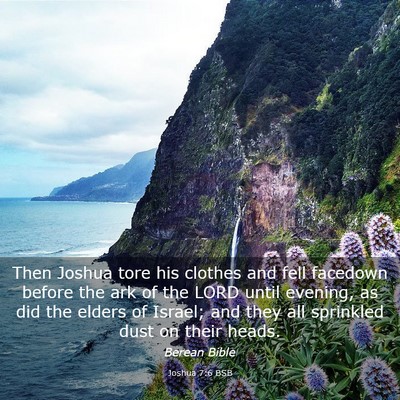 Picture 03 - Joshua 7:6 BSB - Then Joshua tore his clothes and fell facedown - Bible Verse Picture