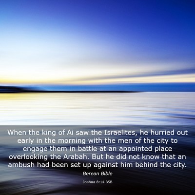 Picture 03 - Joshua 8:14 BSB - When the king of Ai saw the Israelites, he - Bible Verse Picture