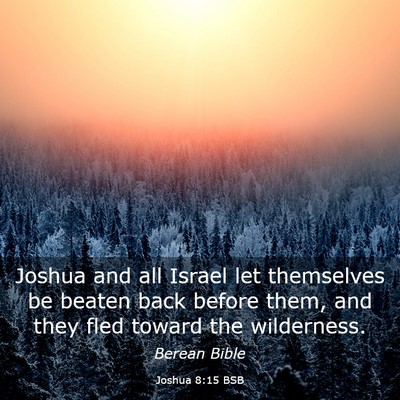 Picture 03 - Joshua 8:15 BSB - Joshua and all Israel let themselves be beaten - Bible Verse Picture