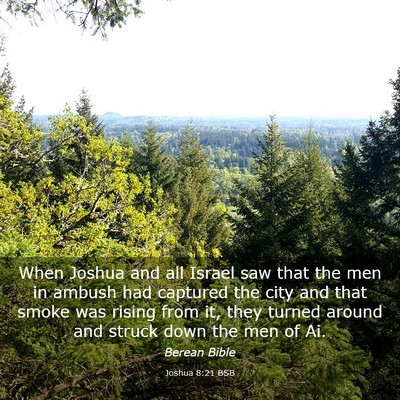 Picture 03 - Joshua 8:21 BSB - When Joshua and all Israel saw that the men in - Bible Verse Picture