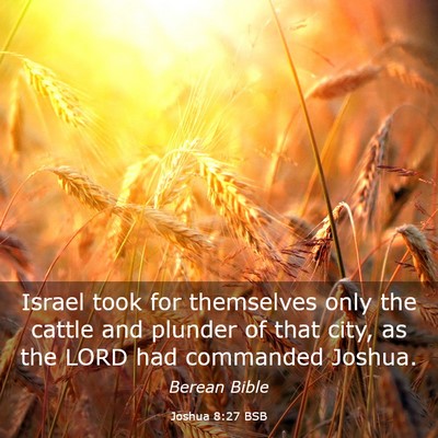 Picture 03 - Joshua 8:27 BSB - Israel took for themselves only the cattle and - Bible Verse Picture