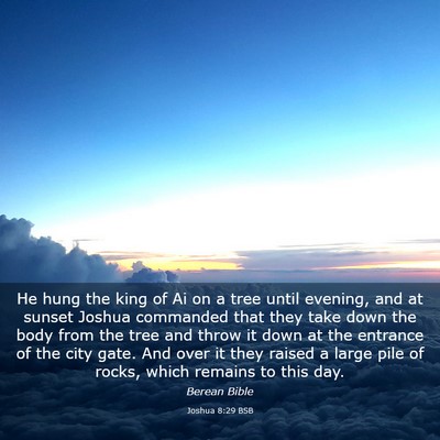 Picture 03 - Joshua 8:29 BSB - He hung the king of Ai on a tree until evening, - Bible Verse Picture