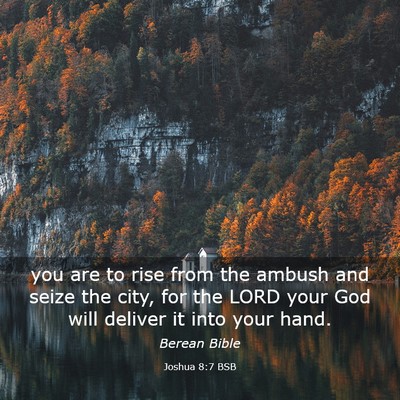 Picture 03 - Joshua 8:7 BSB - you are to rise from the ambush and seize the - Bible Verse Picture