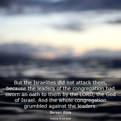 Picture 03 - Joshua 9:18 BSB - But the Israelites did not attack them, because - Bible Verse Picture