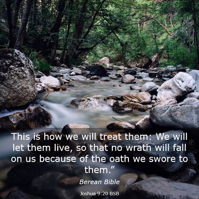 Picture 03 - Joshua 9:20 BSB - This is how we will treat them: We will let them - Bible Verse Picture