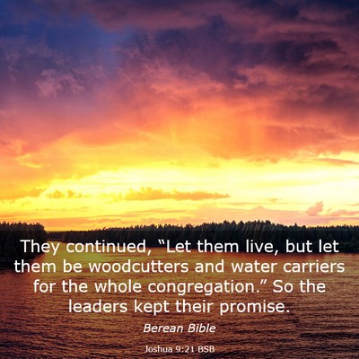 Picture 03 - Joshua 9:21 BSB - They continued, “Let them live, but let them be - Bible Verse Picture